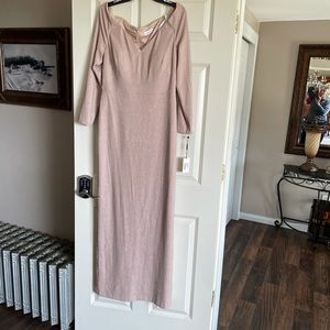 NWT Calvin Klein evening dress rose beige with glitter on it built in bra